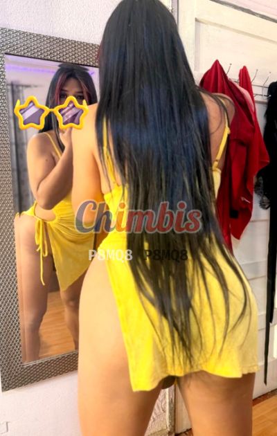 Chica trans, shemale en Chillán