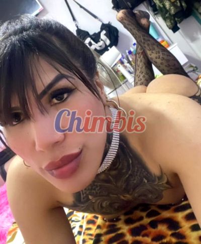 Martina 949412854, shemale en Lo Prado (Santiago)