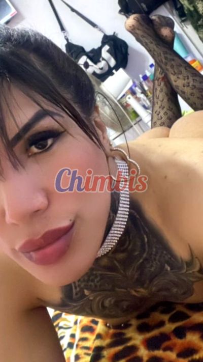 Martina 949412854, shemale en Lo Prado (Santiago)