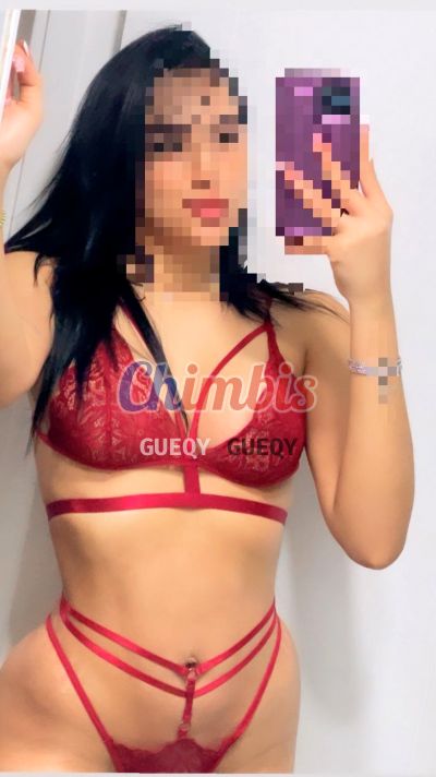 Escort, puta en Villa Alemana