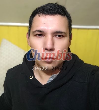 Gato, hombre en Concepción