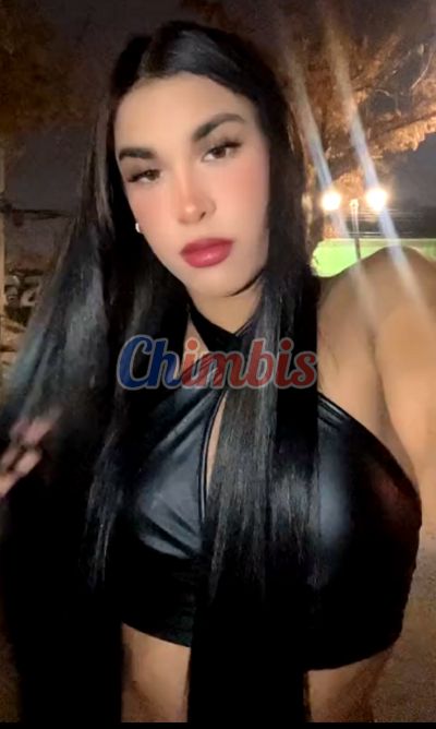 Valentina, shemale en Centro (Santiago)