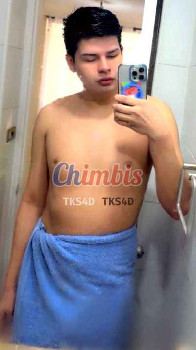 Esteban 956245336, hombre en Santiago