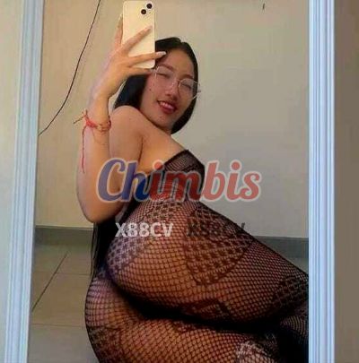 Camila 930843346, puta en Independencia (Santiago)