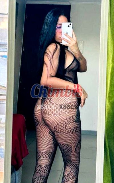 Camila 930843346, escort en Independencia (Santiago)