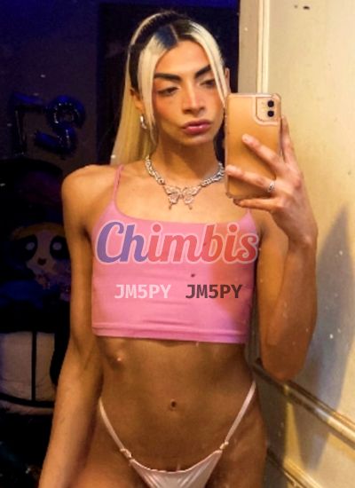 Nicolle, trans en Providencia (Santiago)