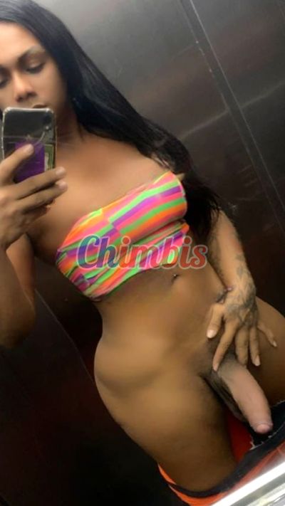 Renata, shemale en Santiago