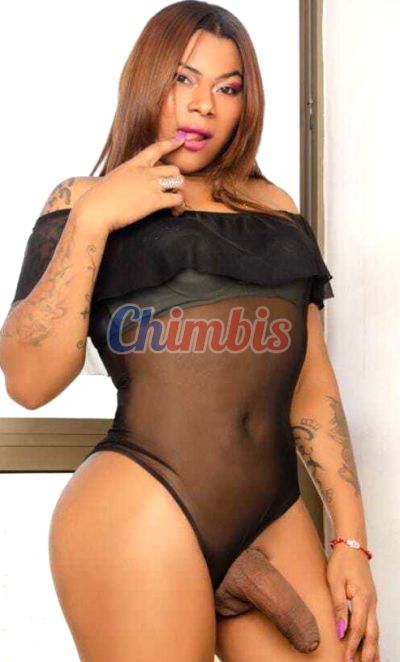 Milu, trans en Santiago