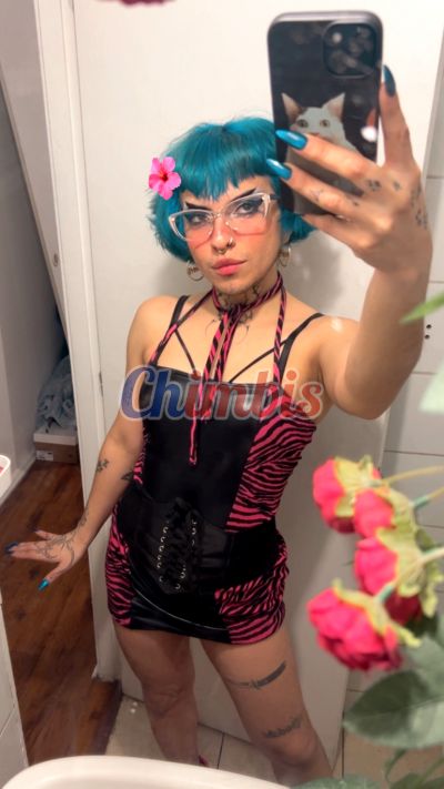 Señorito Zafiro 977300451, transexual en Santiago