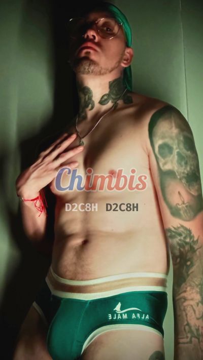 Sátiro 947772733, hombre en Santiago