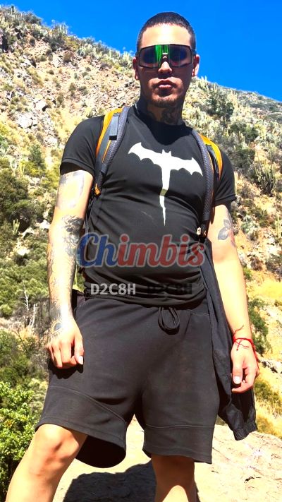 Sátiro 947772733, hombre en Santiago