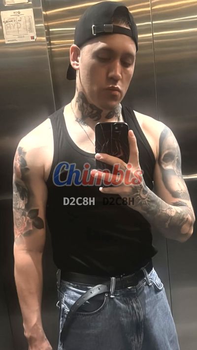 Sátiro 947772733, hombre en Santiago