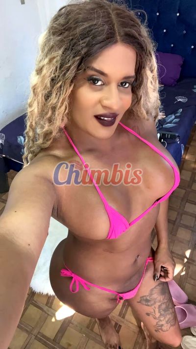 CHOCOLATE HOT 935974084, trans en Viña del Mar