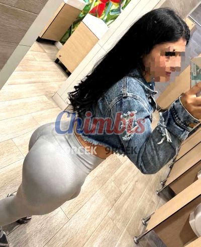 Karen 952855101, puta en Independencia (Santiago)