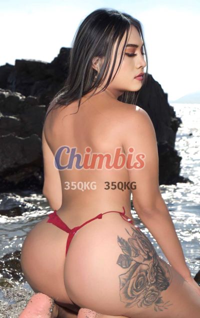 Nicole 931050040, transexual en Calama