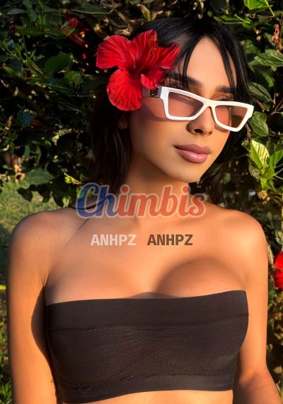 Sabrina 936903655, transexual en Viña del Mar