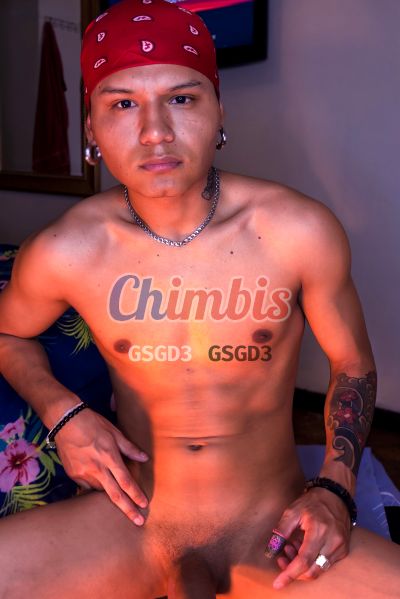 Jlexis 973456846, hombre en Providencia (Santiago)