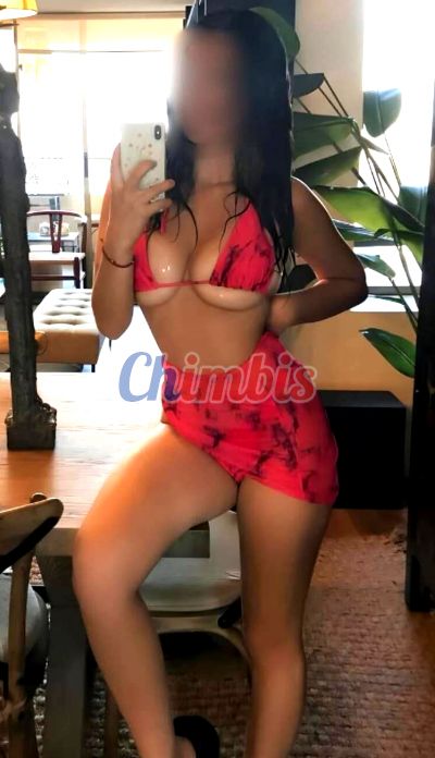 Sofía 935676685, mujer que da masajes eróticos en Providencia (Santiago)