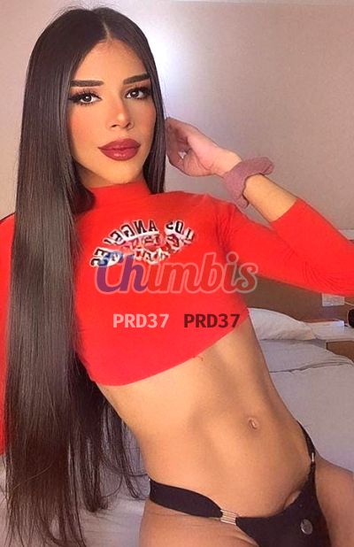 Samira 926932328, transexual en Rancagua