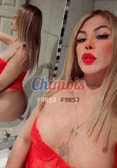 Kendall Fox 953034512, shemale en Estación Central (Santiago)